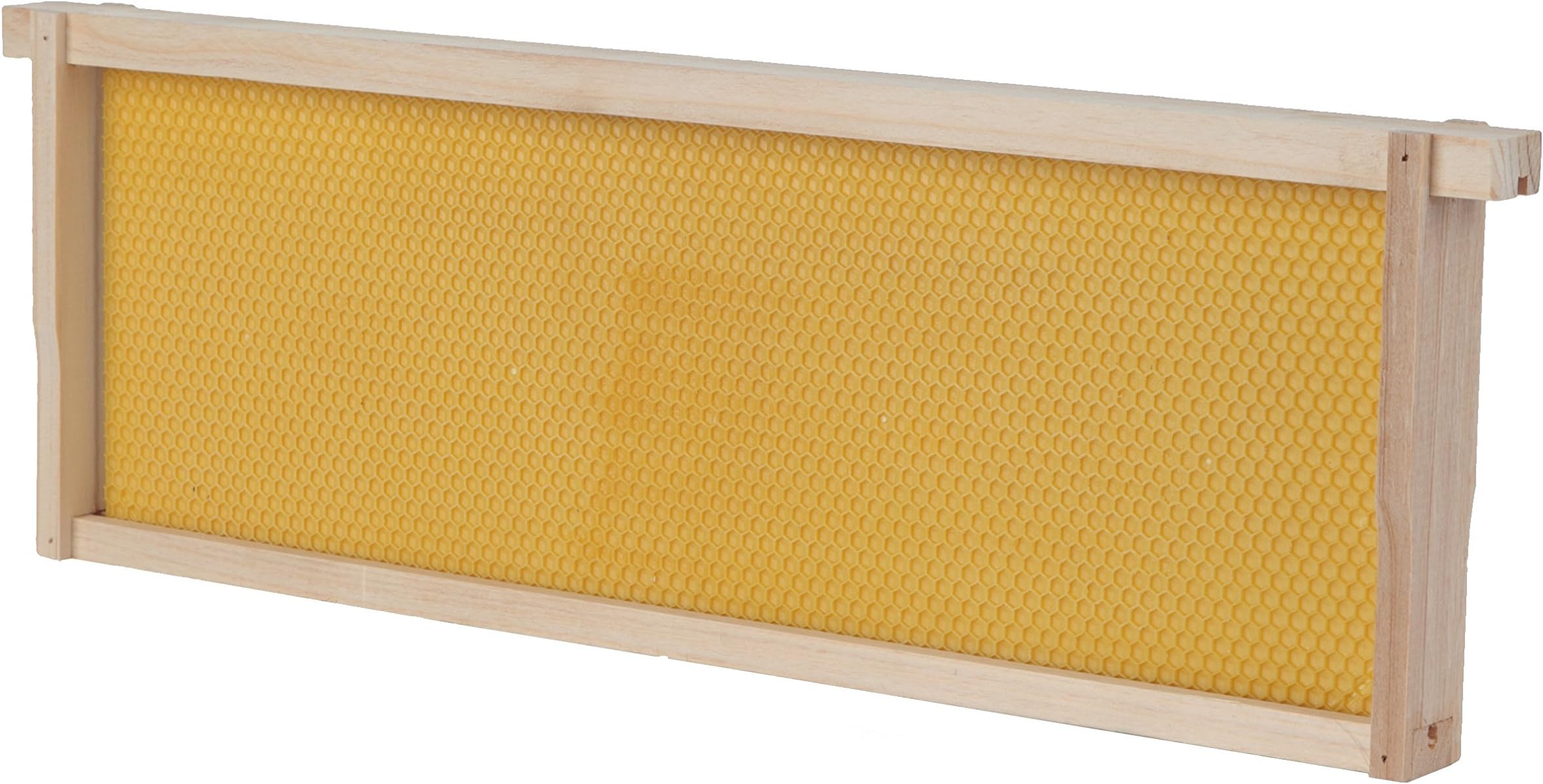 SummerHawk RanchFrame & Foundation