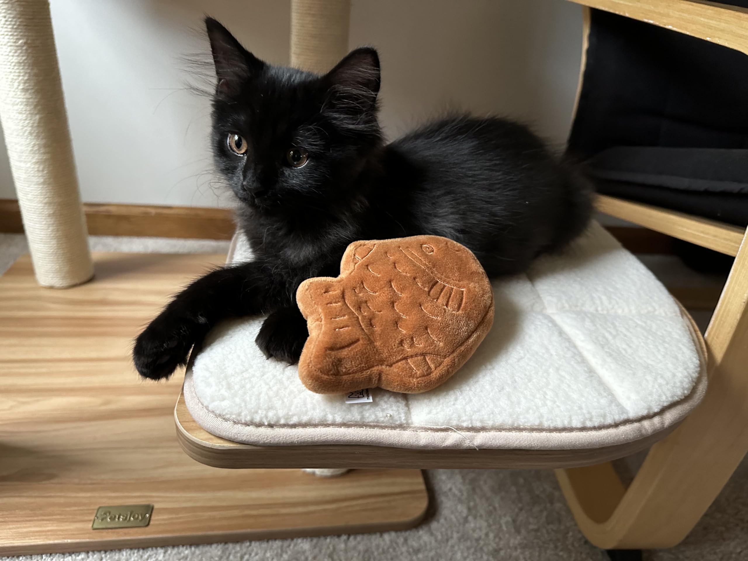 munchiecat Juguete de peluche japonés de menta gatera relleno de hierba gatera orgánica, regalo estilo Wagashi para gatos y gatitos, 2 piezas (Taiyaki)