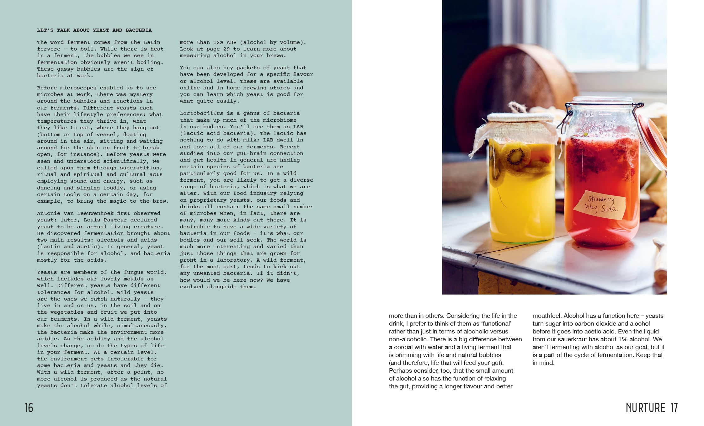 Wild Drinks: The New Old World of Small-Batch Brews, Ferments and Infusions