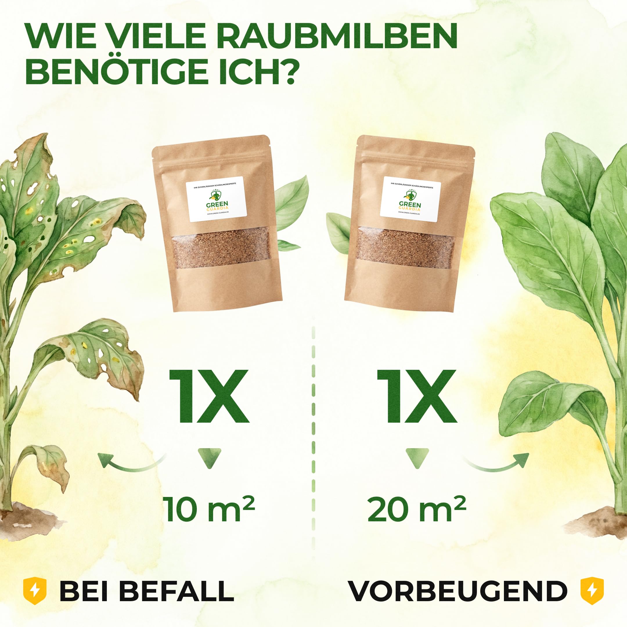 GREEN GUARDIA Power depredadores contra trips – esparcidor con 7 bolsas para 70 m² – agente biológico para combatir eficazmente los trips para plantas de interior y ornamentales UVM. – Sin productos