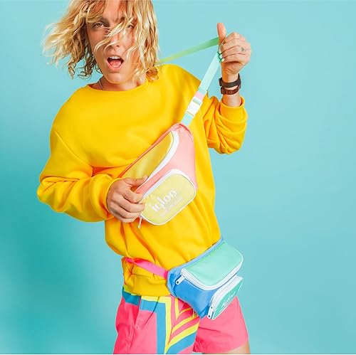 Miniatura 8 de Igloo Riñoneras retro, bolsa cruzada aislada, riñoneras de moda, paquete de cadera de viaje ajustable y ligero