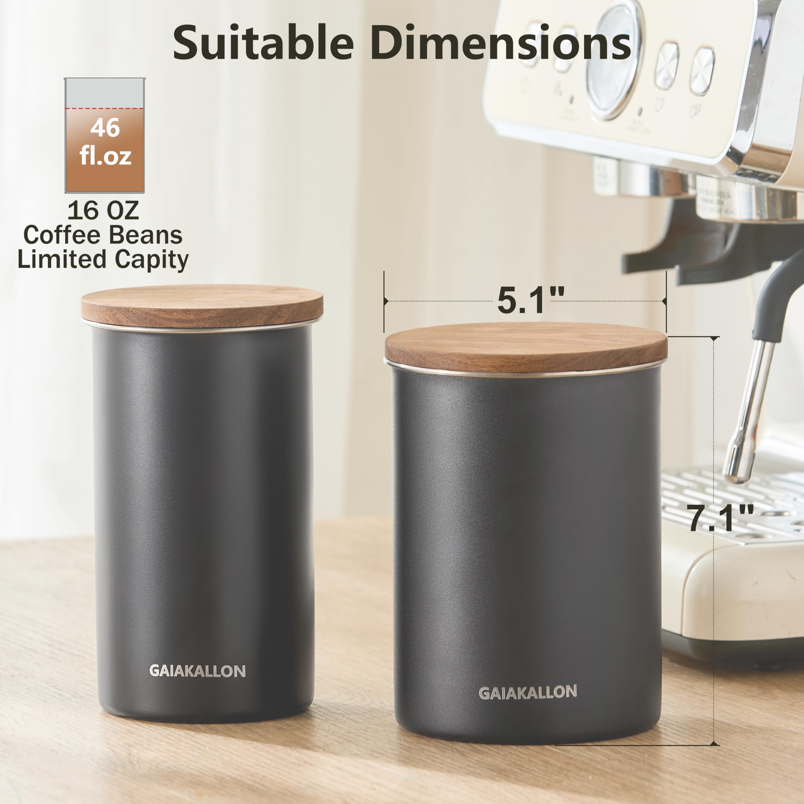 https://m.media-amazon.com/images/I/81FocXbeWmL.jpg