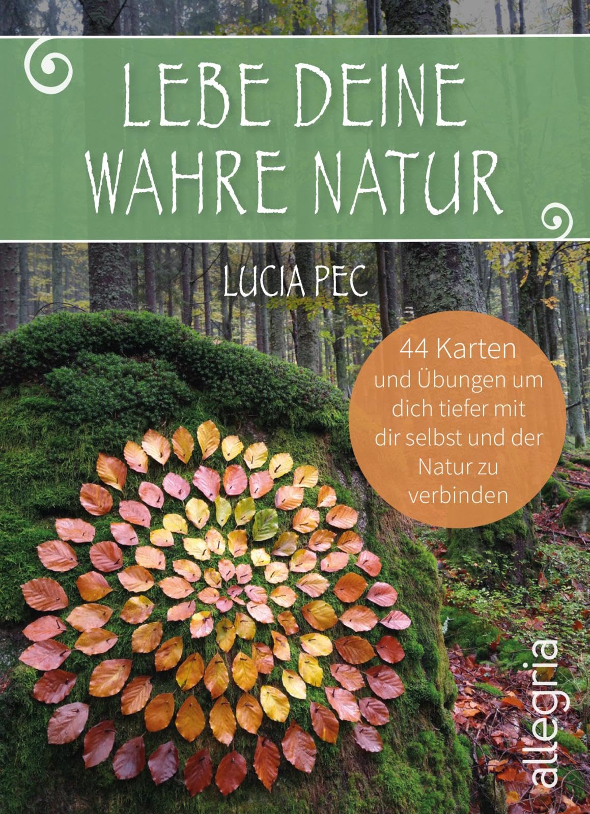 Cartes nature et exercices de reconnexion pour retrouver le calme
