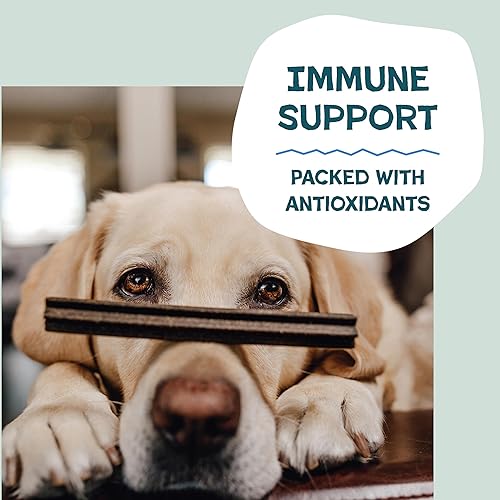 Miniatura 5 de Shameless Pets Golosinas dentales para perros, The Tooth Berry, palitos dentales saludables con apoyo inmunológico para limpieza de dientes y