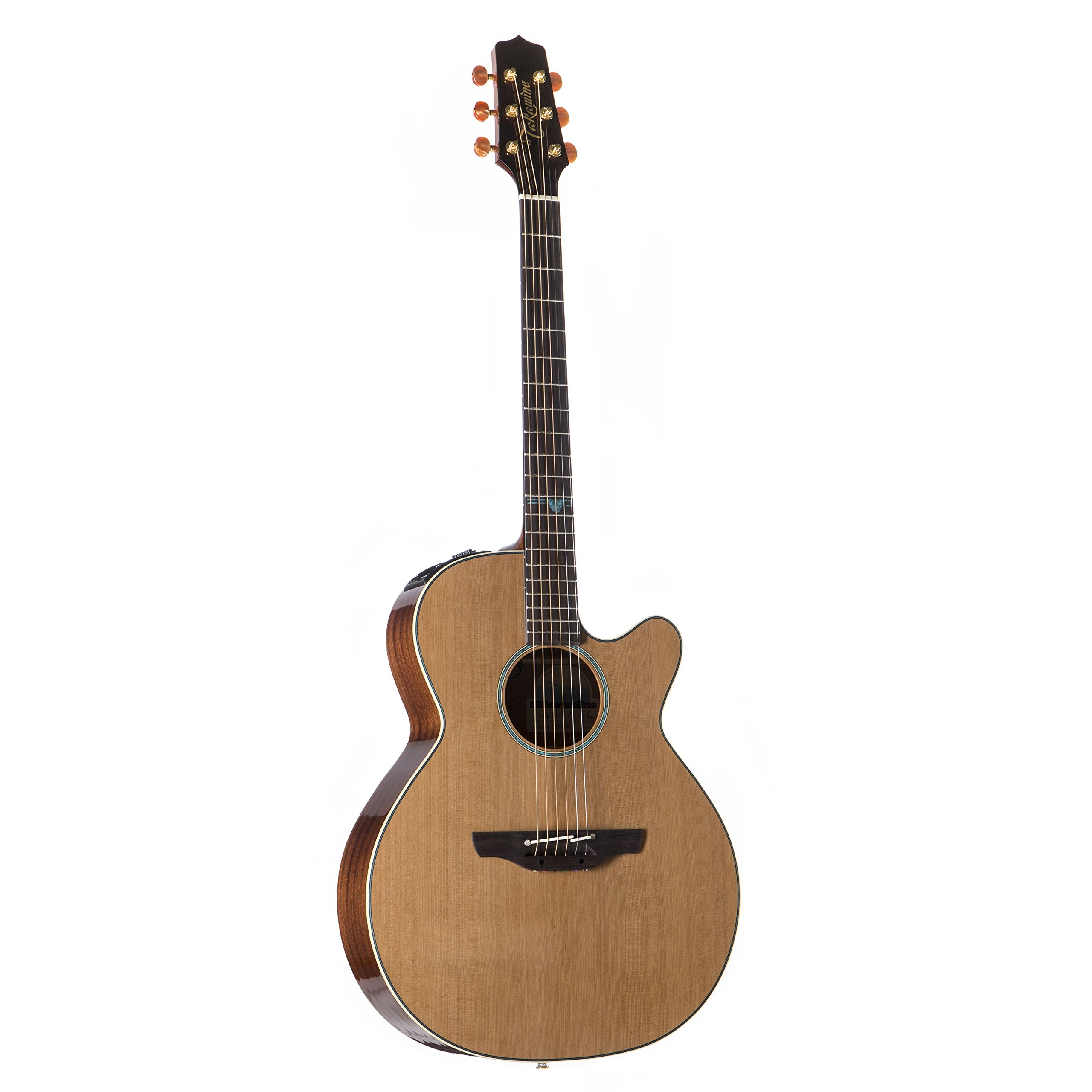 Buy Takamine TSF40C 6 Strings Legacy Series Acoustic Guitar with CTP3