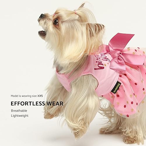 Miniatura 2 de Fitwarm Vestido de tul para perro de cumpleaños, ropa para perros pequeños, ropa de gato, rosa, grande