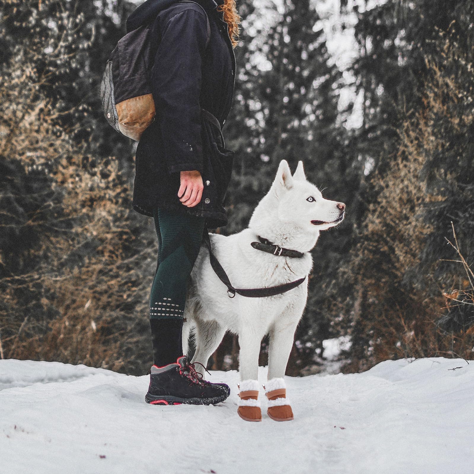 Kisangel 6paare Puppy Boots wasserdichte Und rutschfeste Winterstiefel Für Hunde Teiliges Idealer Pfotenschutz Für Kalte Tage Passend Für Kleine Und Mittelgroße Hunde