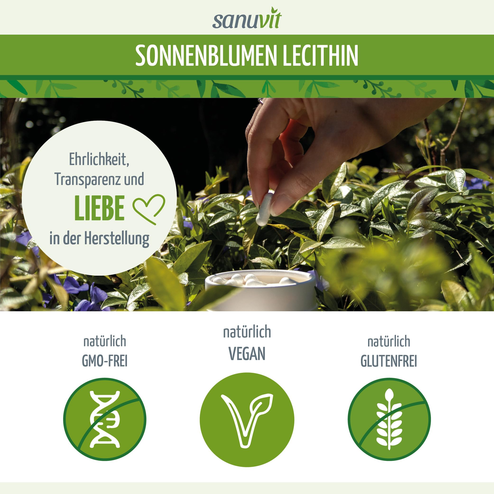 Sanuvit® - BIO Sonnenblumen-Lecithin Kapseln | 1200 mg pro Tagesdosis | Hochdosiert | Hohe Bioverfügbarkeit und Verträglichkeit | Vegan | Hergestellt in Österreich | 180 Kapseln