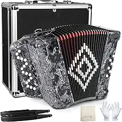 Acordeão diatônico de 34 teclas 12 graves F/B/E, instrumentos sanfonados para adultos com mala, pano de limpeza, tiras e luvas (prata)