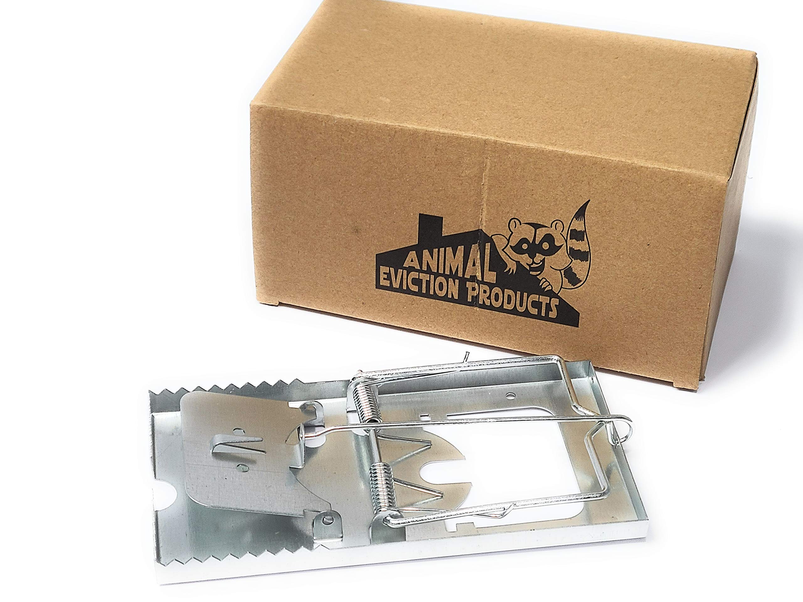 Metal Rat Snap Trap Dual Spring 6 Pack