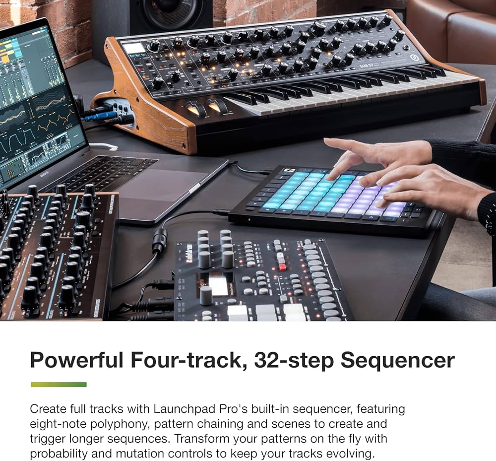 81Fp3LhZpvL._AC_UF1000,