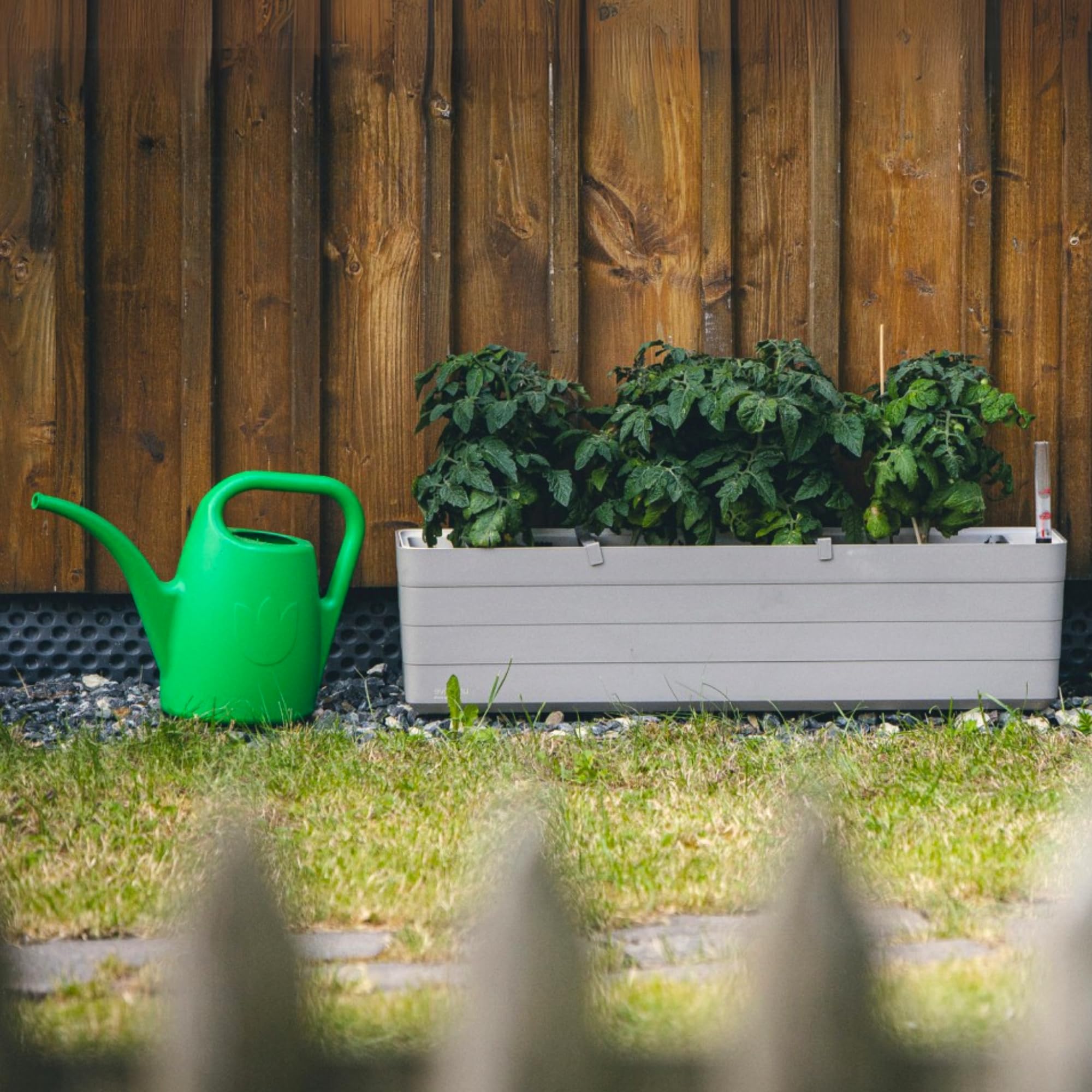 Regadera Pequeña con Alcachofa para Plantas de Interior 2 L – Regadera Plantas con Pico Largo para Riego Fácil – Regaderas Jardín de Plástico, Topo