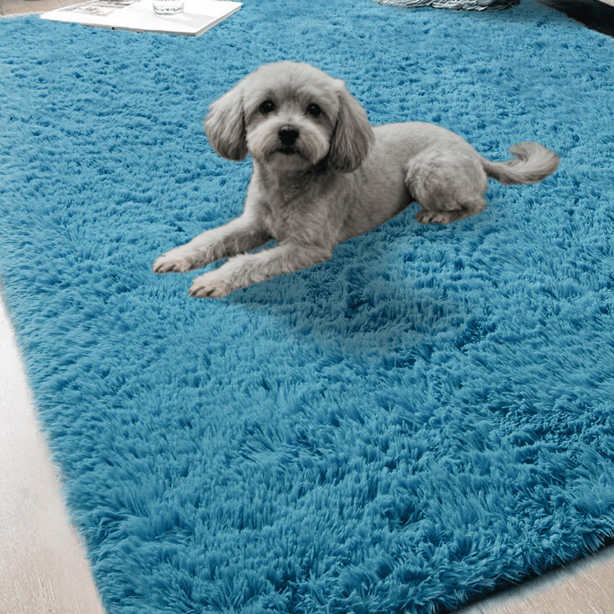 Tapis salon 280 x 380 cm lavable et grand tapis moderne bleu