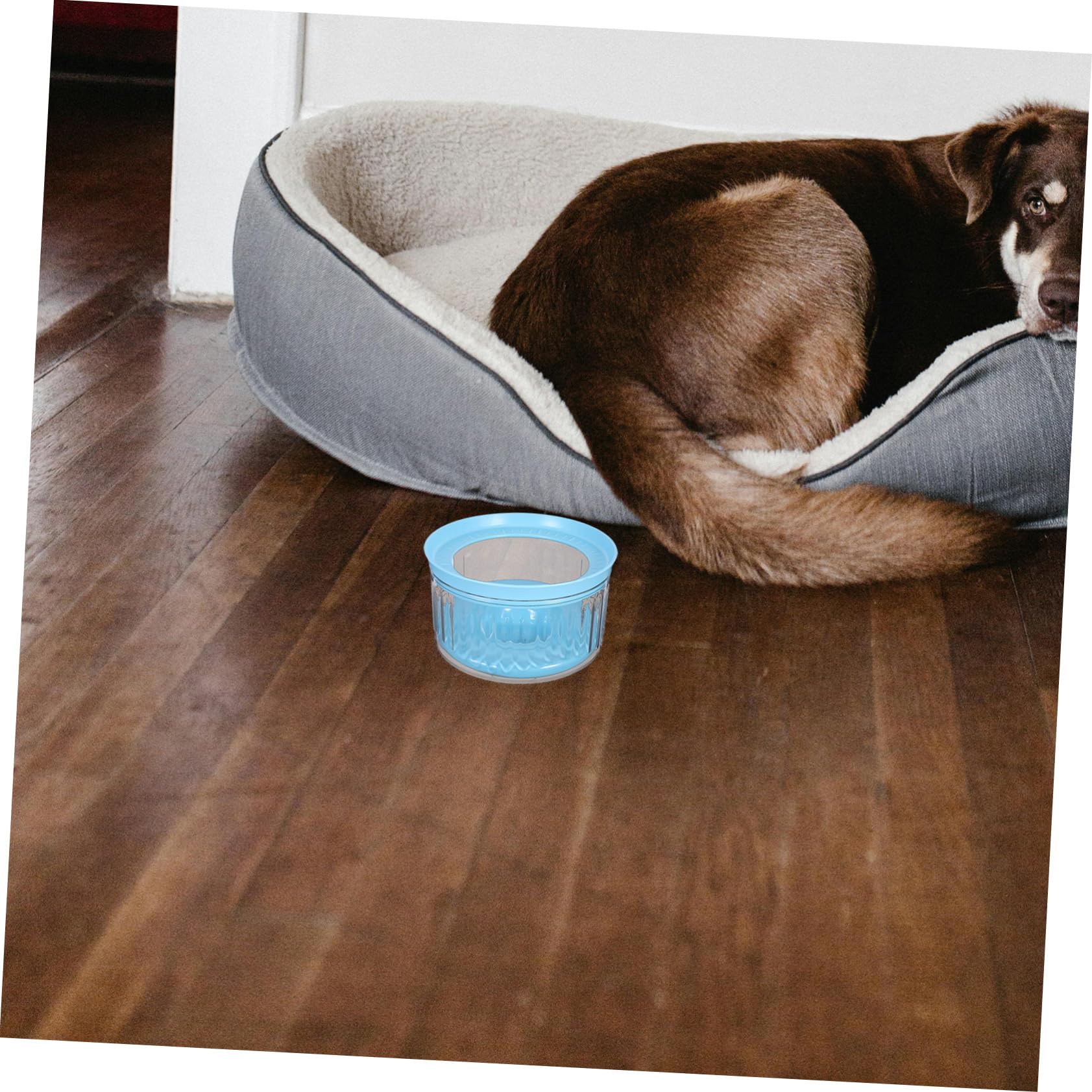 Wassernapf für Hunde Spritzsicherer Trinknapf mit Transparentem Design Auslaufsicherer Napf für Unterwegs Rutschfester Hundenapf mit Schwimmscheibe für Haustiere