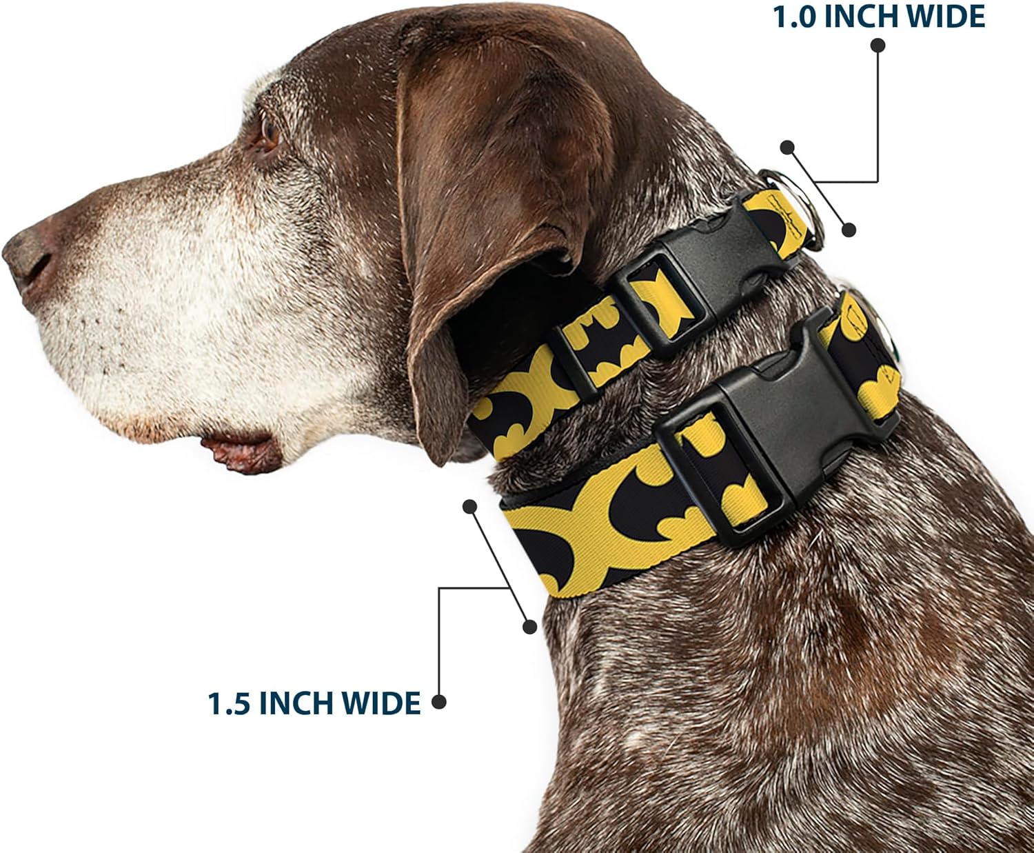 Buckle-Down "Bat Signal-5" Plastic Clip Collar, Black/Yellow/Black, 1.5" Wide-Fits 13-18" Neck-Small