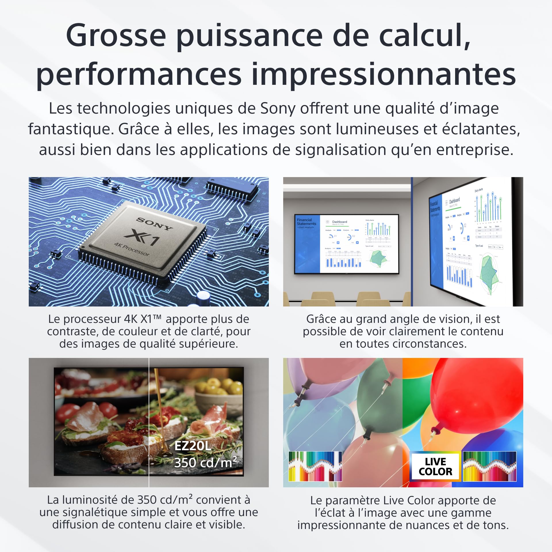 Sony Bravia Professional Displays FW-55EZ20L - EZ20L Series - 55" écran LCD rétro-éclairé par LED - 4K - écrans d'entrée de Gamme pour Les commerces conçus pour Un Fonctionnement 16 h/24 et 7 j/7.