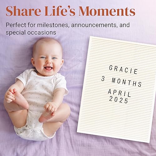 Miniatura 5 de Stiles Juego de letreros de madera de 12 x 16 pulgadas, con 340 letras, números y símbolos de plástico, tablero de mensajes de madera