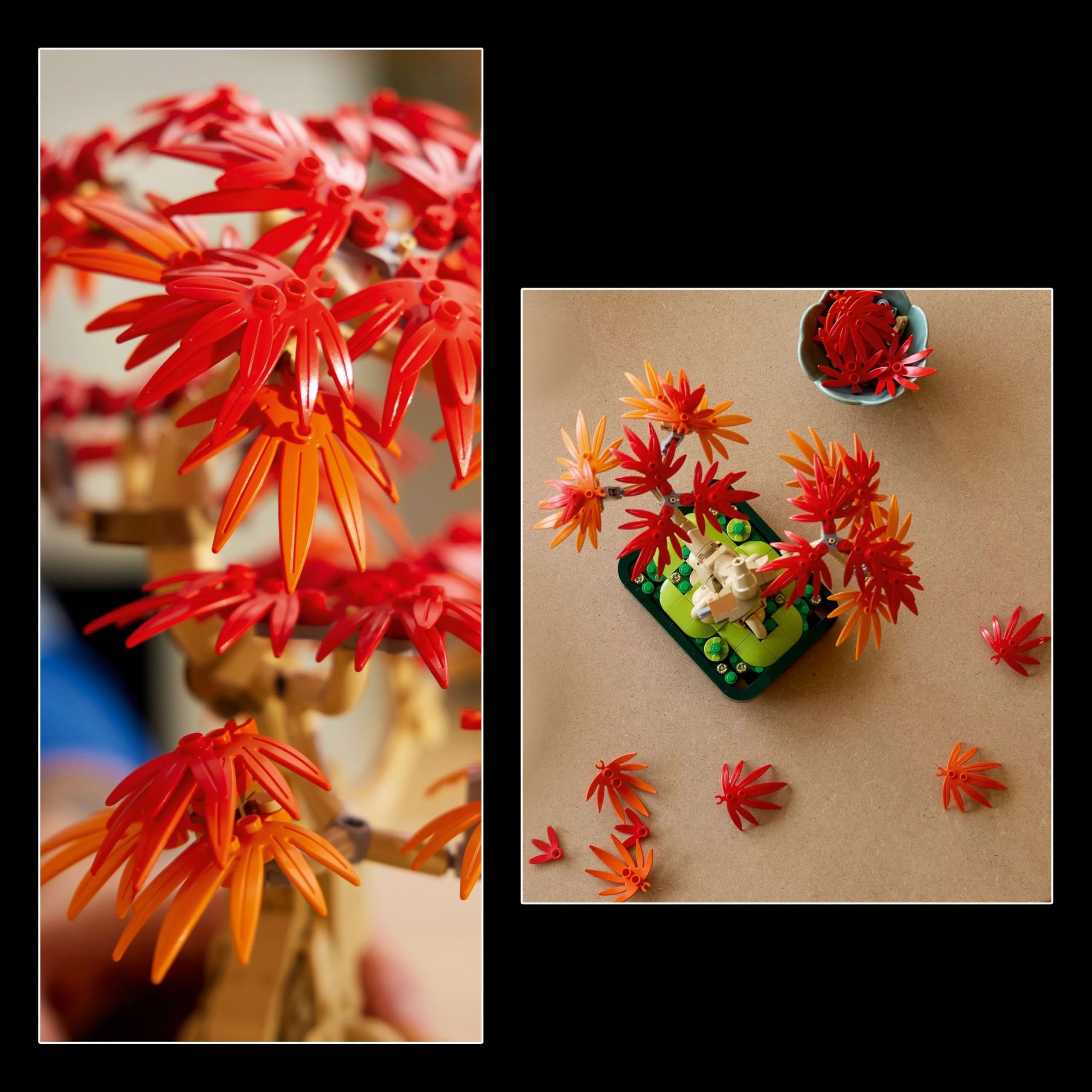 LEGO Botanicals Japanese Red Maple Bonsai Tree Plant Decor 10348 Building Blocks for 18+ Gift