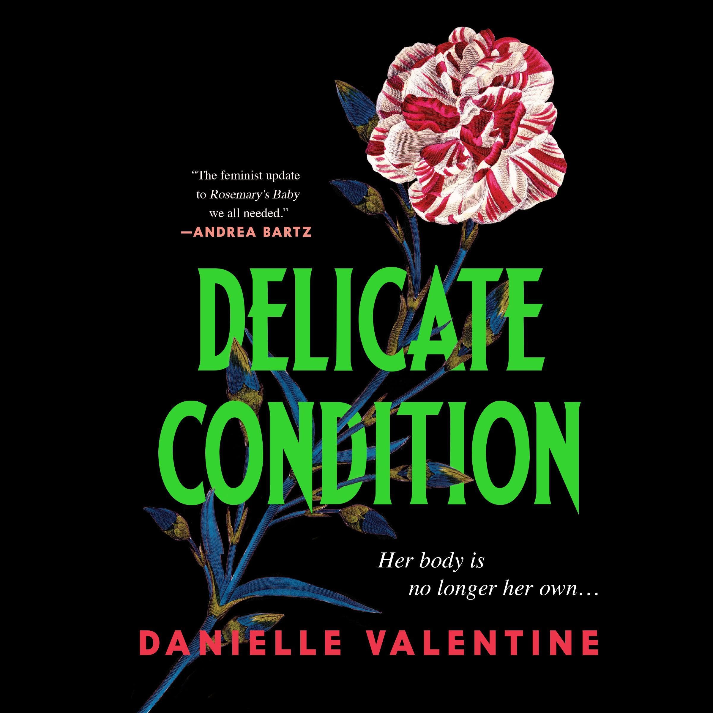 Cover art for Delicate Condition