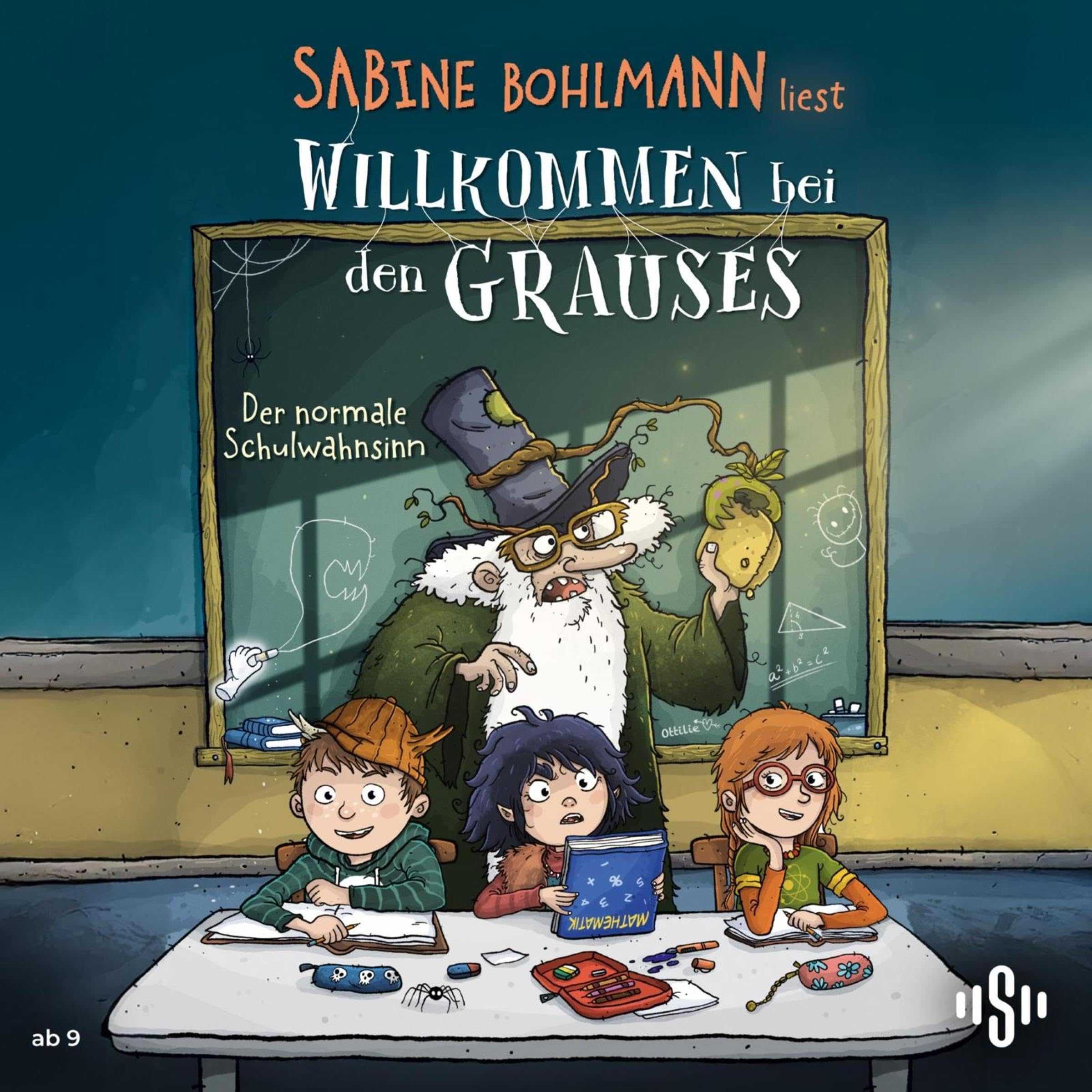 Cover art for Der normale Schulwahnsinn