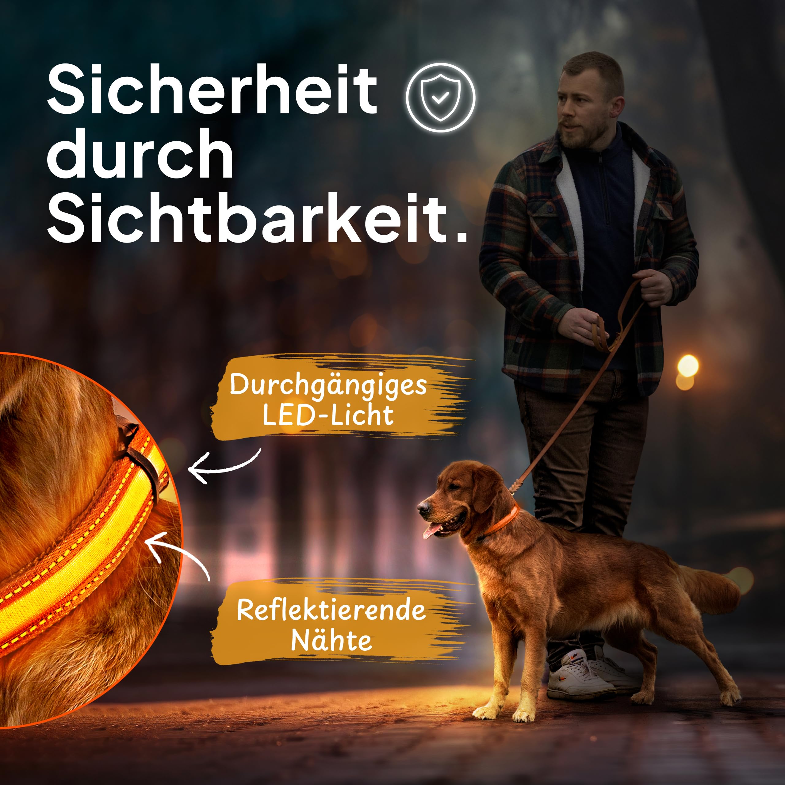 Tierhood Luminous Dog Collar, Luminous Collar for Small and Large Dogs, LED Dog Collar Rechargeable, Durable - Image 2