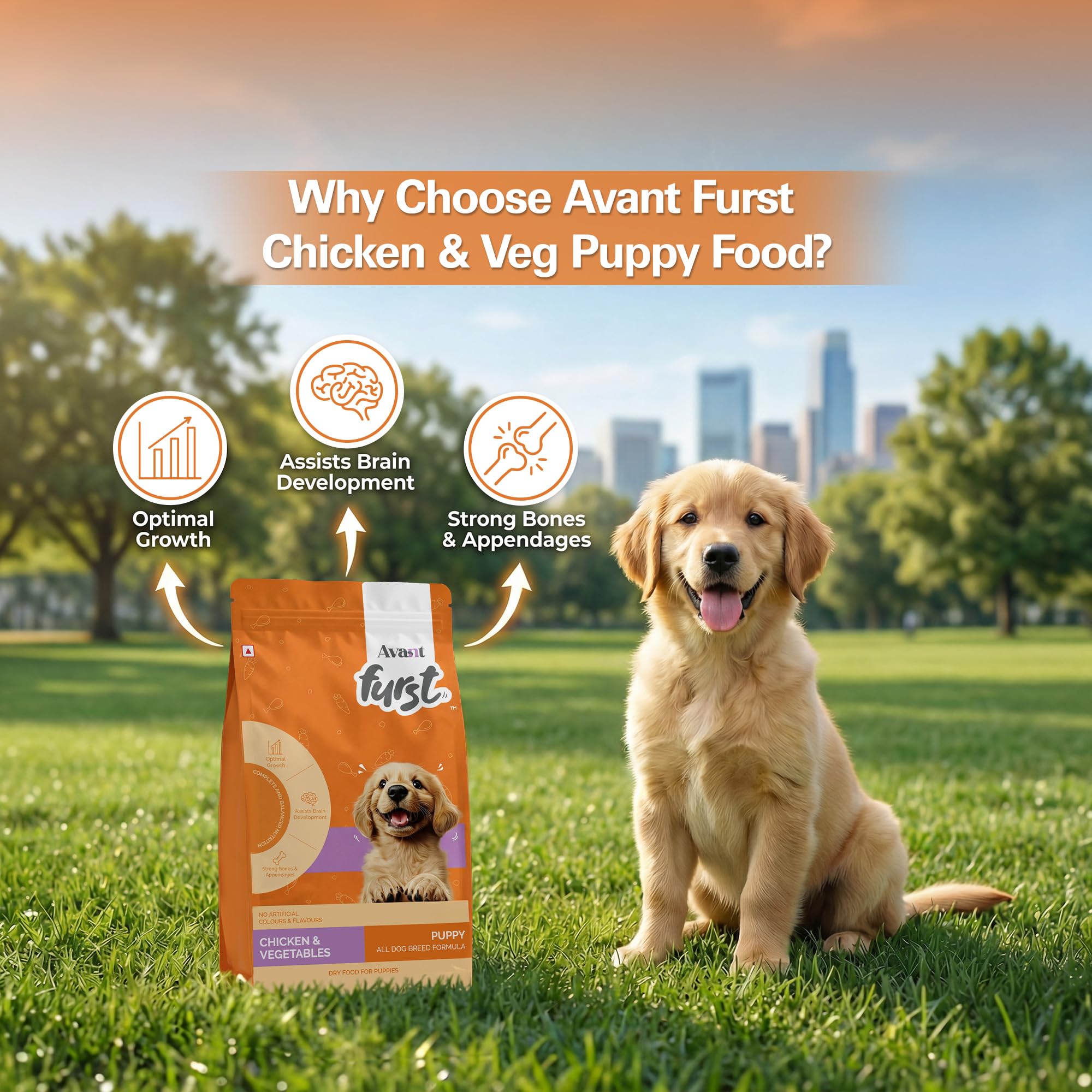 Avant Furst Puppy Dry Dog Food Chicken & Vegetable, Dog Food Puppy with Real Chicken Protein & DHA, Dry Food for Growing Puppies, No Artificial Additives, 2.8kg 3