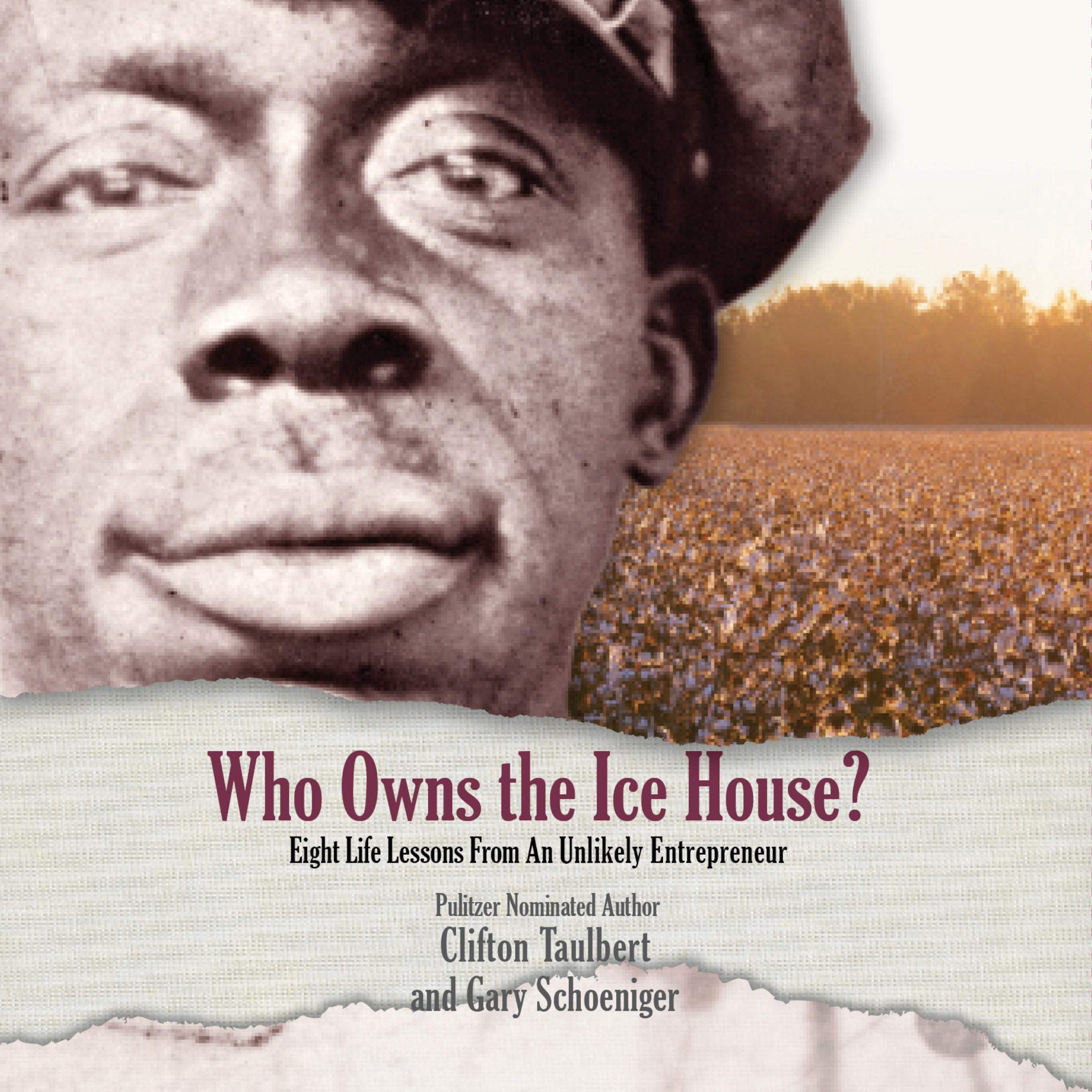 Cover art for Who Owns the Ice House?