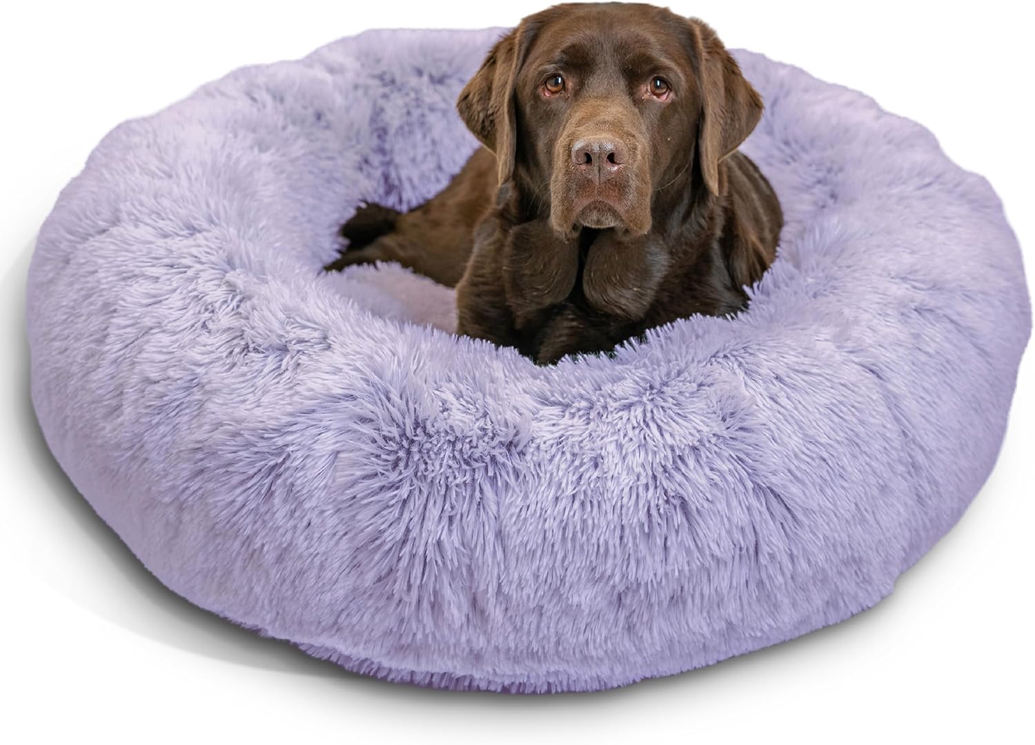 Best Friends by Sheri Original Calming Donut Dog and Cat Bed, Shag Faux Fur, Lavender, (36in x 36in) - Anxiety Relief for Pets Up to 100 lbs Lavender Shag Large