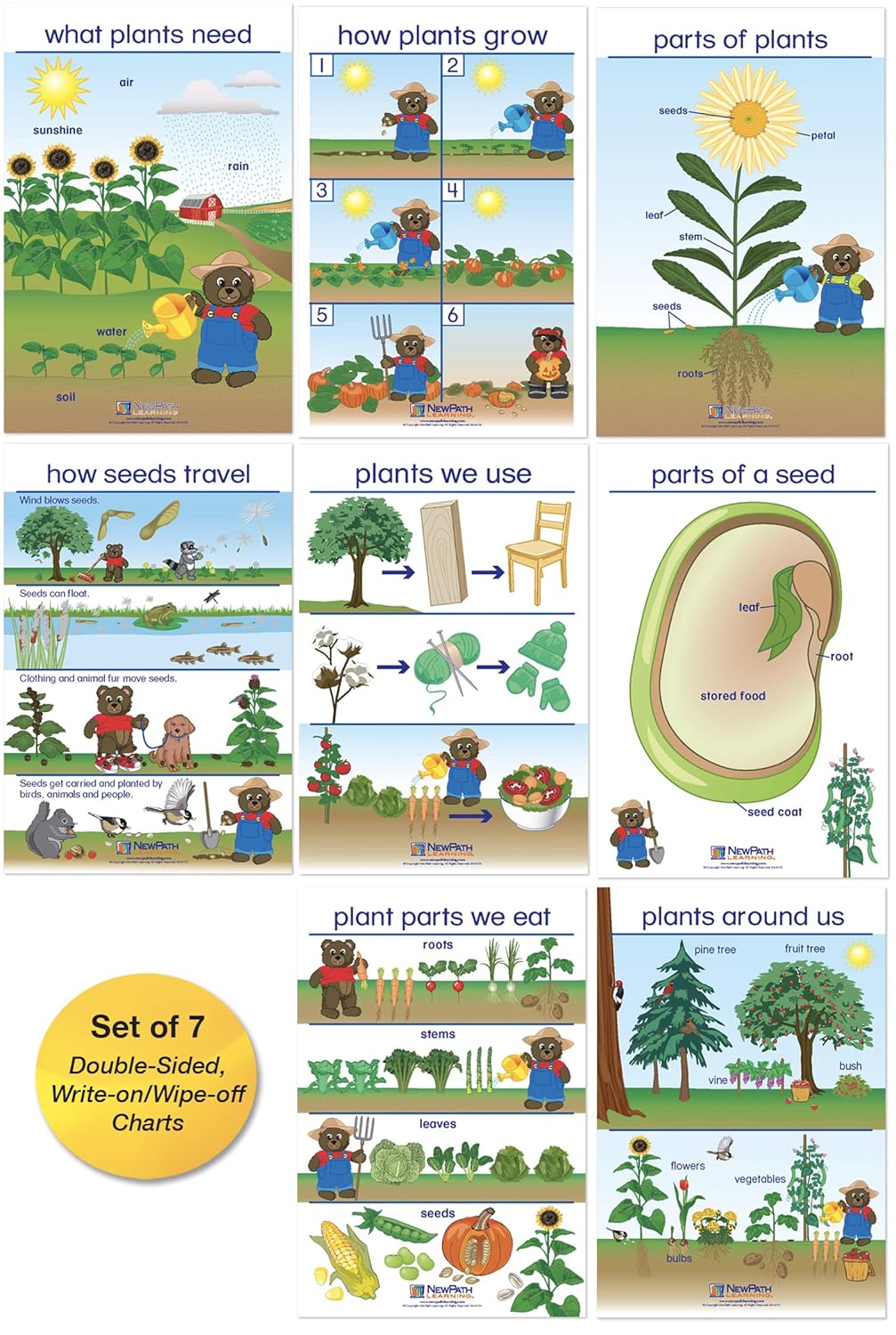 NewPath All About Plants Bulletin Board Charts - English Version, Set/8 - Laminated, Double-Sided, Full-Color, 12" x 18" (94-0221)