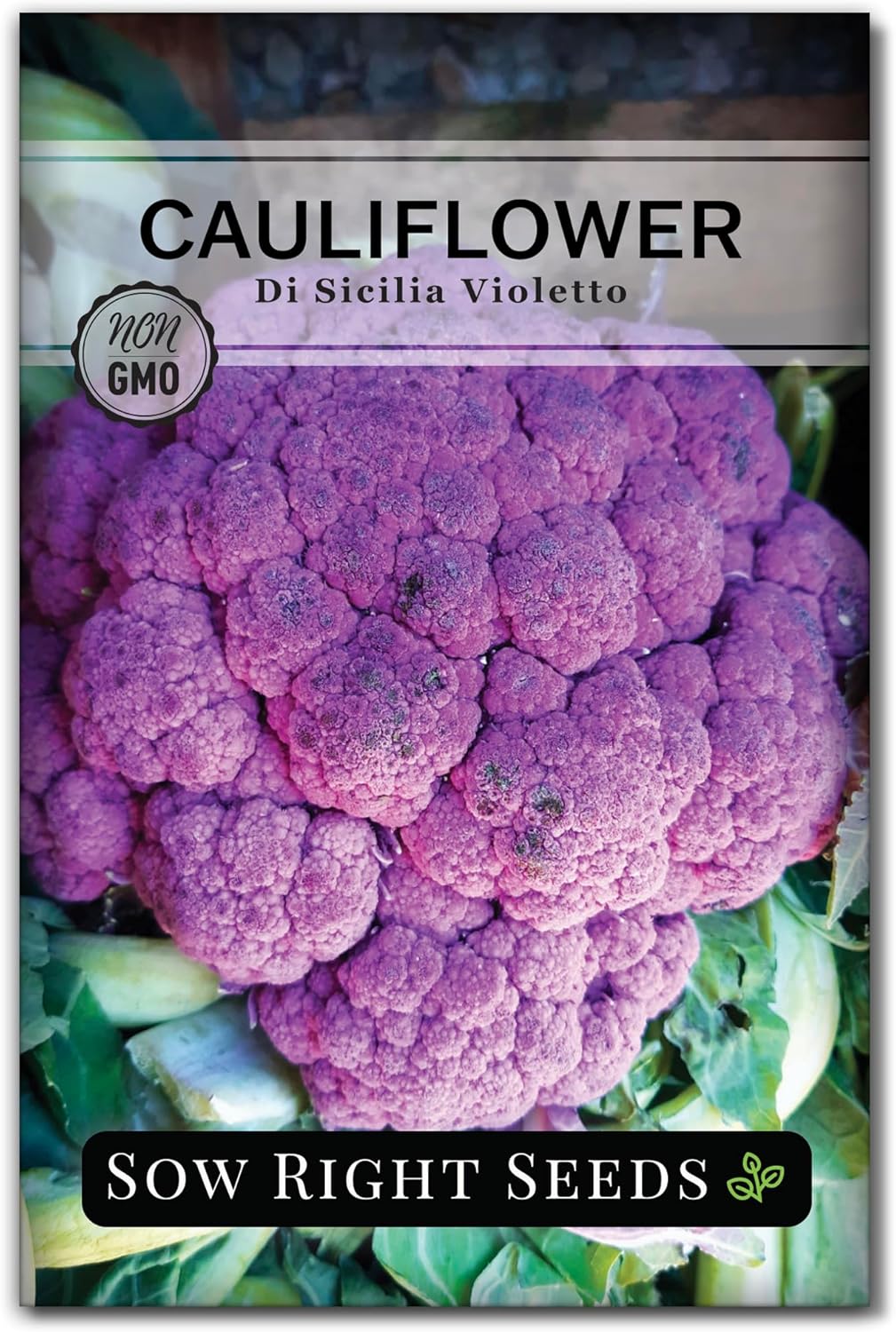 Sow Right Seeds Di Sicilia Violetto Purple Cauliflower Seeds - Non-GMO Heirloom, Cold Hardy, Vibrant Home Garden Variety