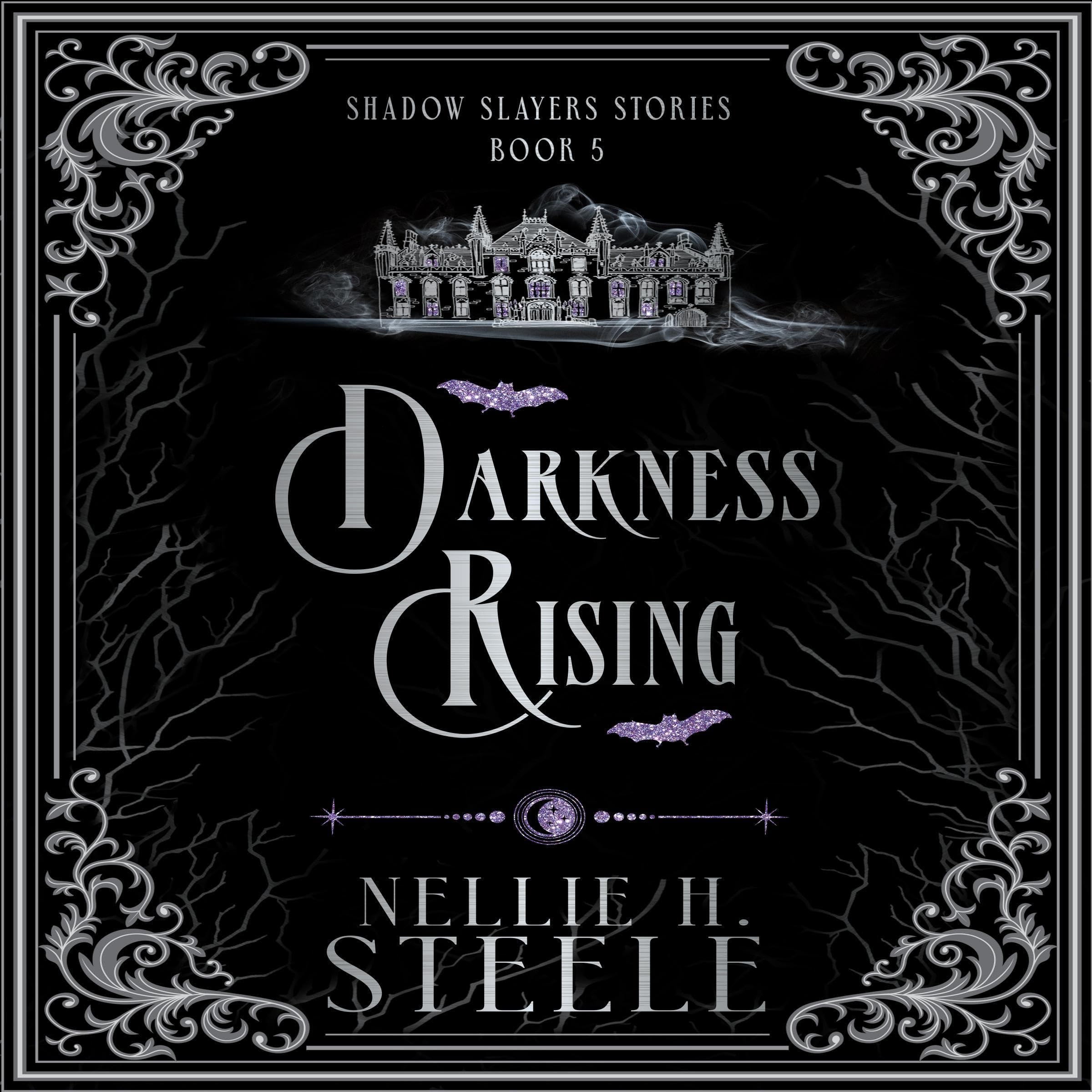 Cover art for Darkness Rising: Shadow Slayers Stories, Book 5
