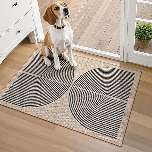 Lahome Rainbow Easy Jute Rug, 20"x32" Front Door Welcome Mat Non Slip Entry Way Rugs Indoor, Farmhouse Nature Washable Non Shedding Low Pile Floor Carpet for Porch