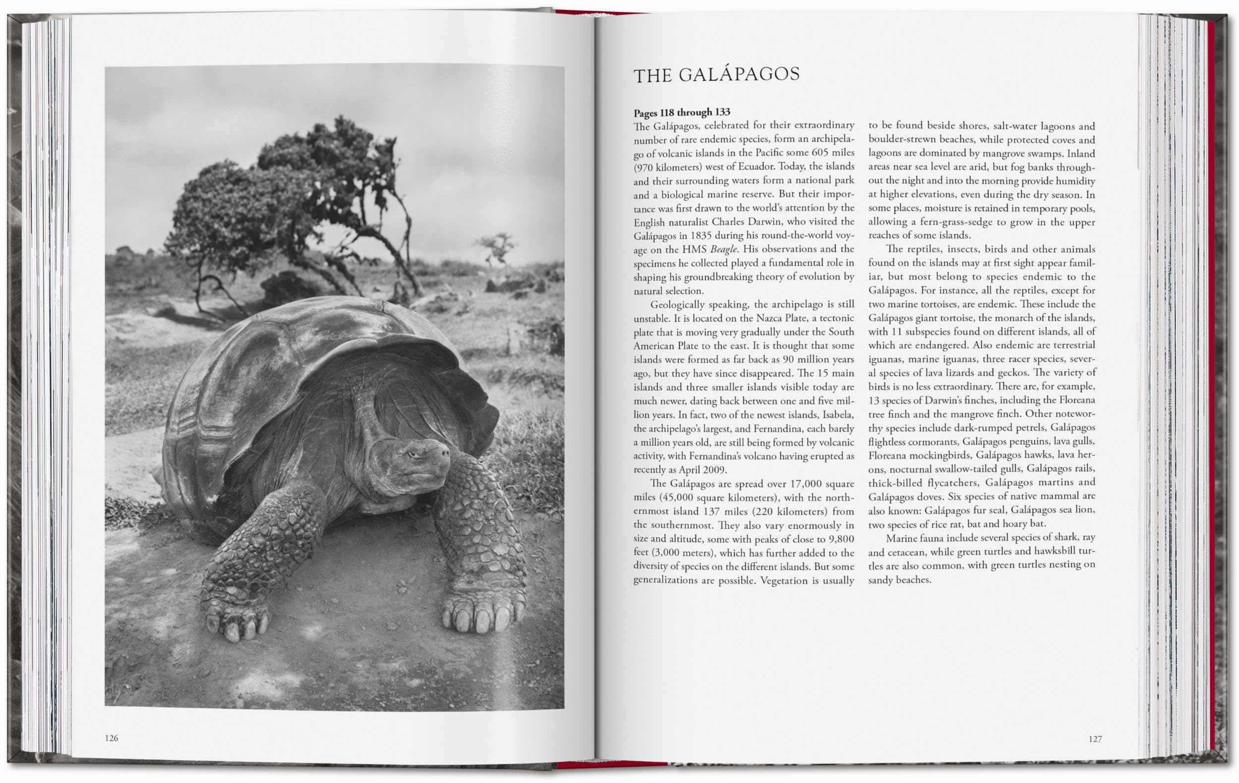 Sebastião Salgado: Genesis. 45th Ed.