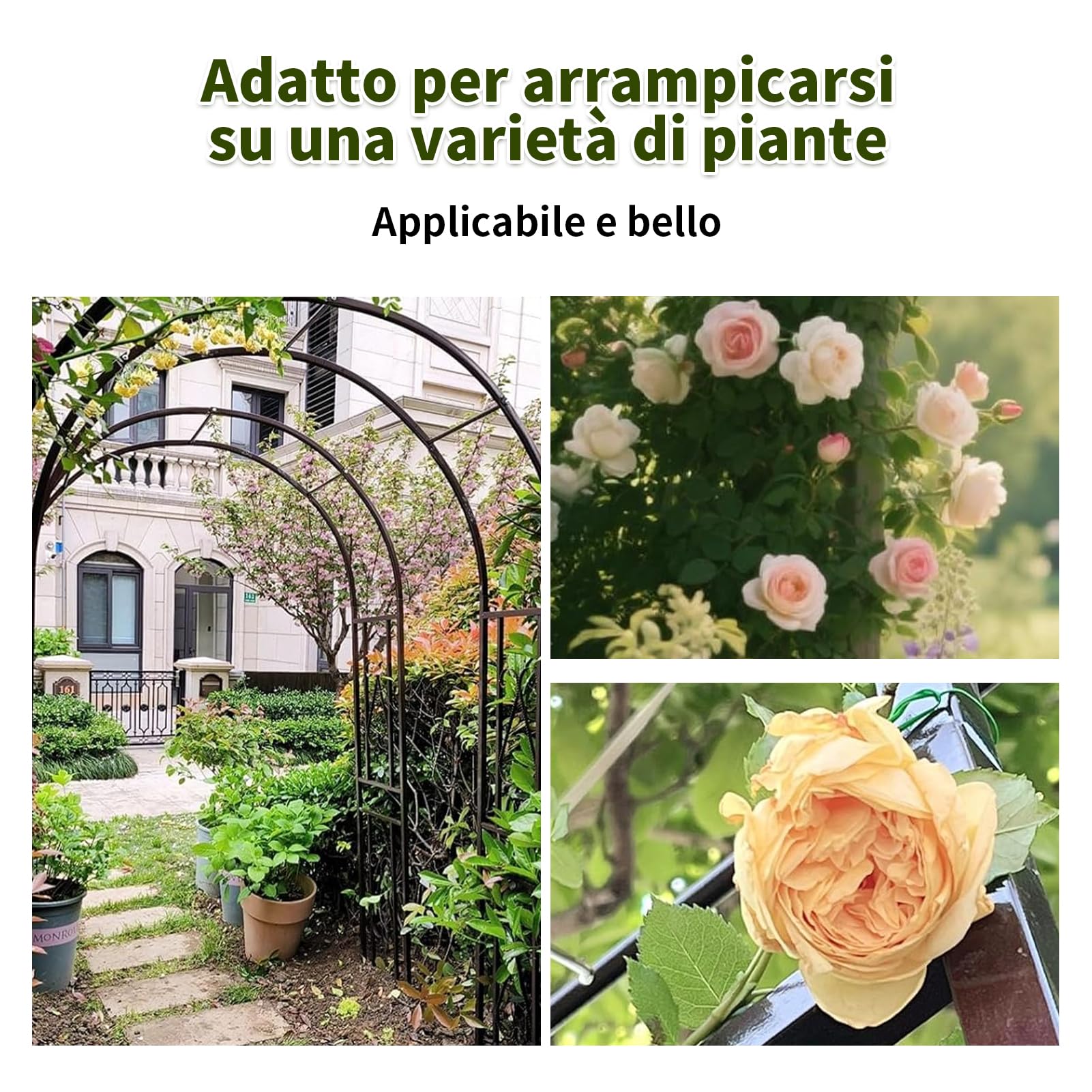 Arche de roses antirouille pour mariages et fêtes de jardin – Design incurvé facile à assembler et – Parfait pour les toiles de fond photo d'intérieur et d'extérieur