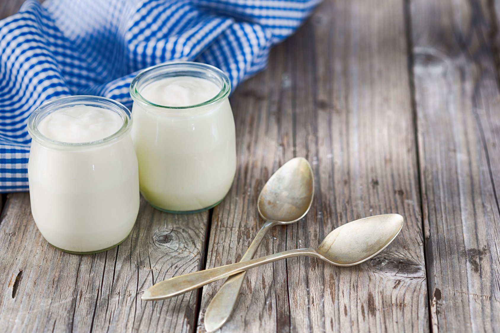Y-Prob Joghurtkulturen 15g probiotisch, Joghurt selber Machen, Joghurtkultur, Ferment