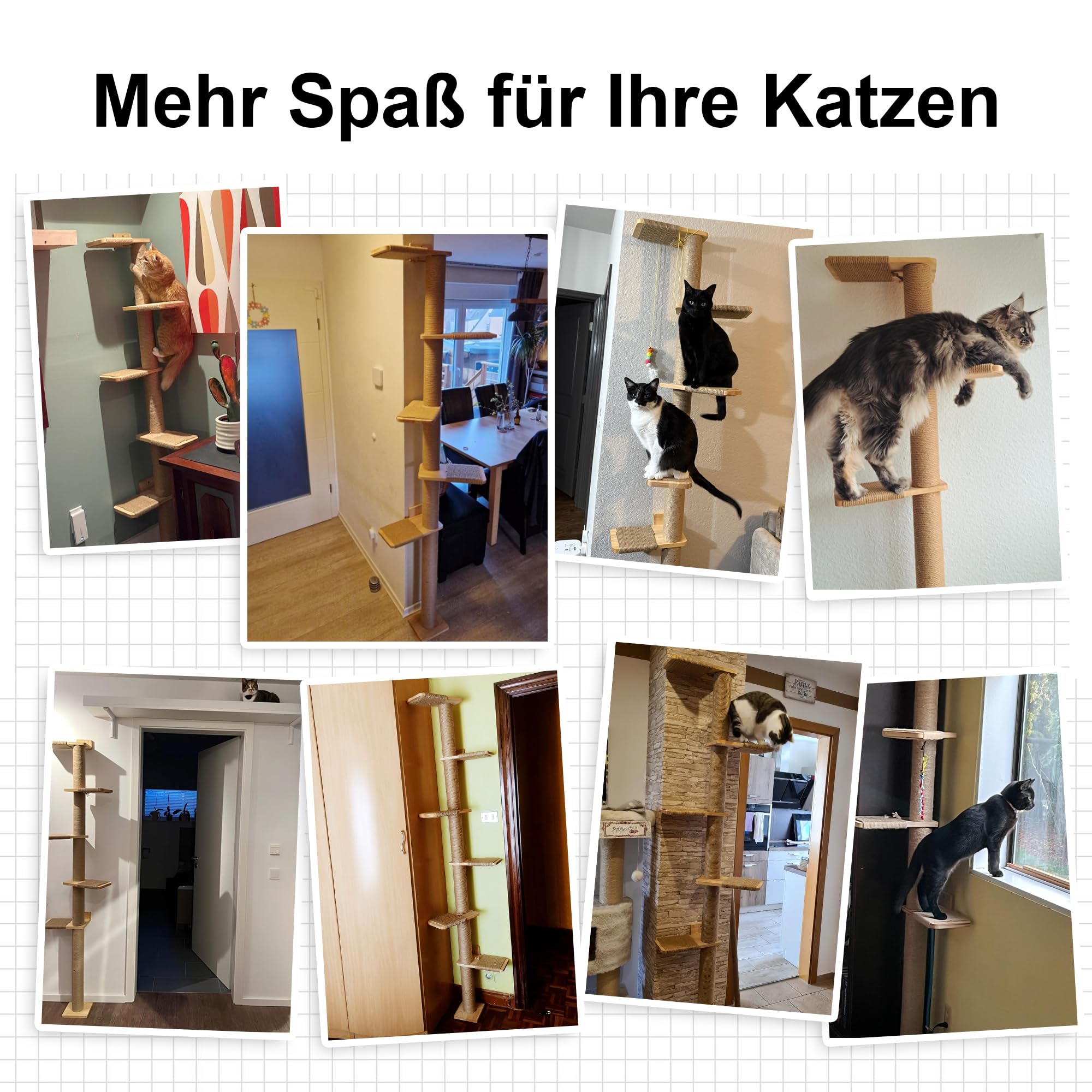 FUKUMARU Kratzbaum, 5 Etagen bis zur Decke reichender Katzenturm(206 cm), wandmontierter Katzenbaum,aus Natürliches Gummibaumholz, für Katzen zum Klettern, Kratzen, Ausschau halten und Spielen.