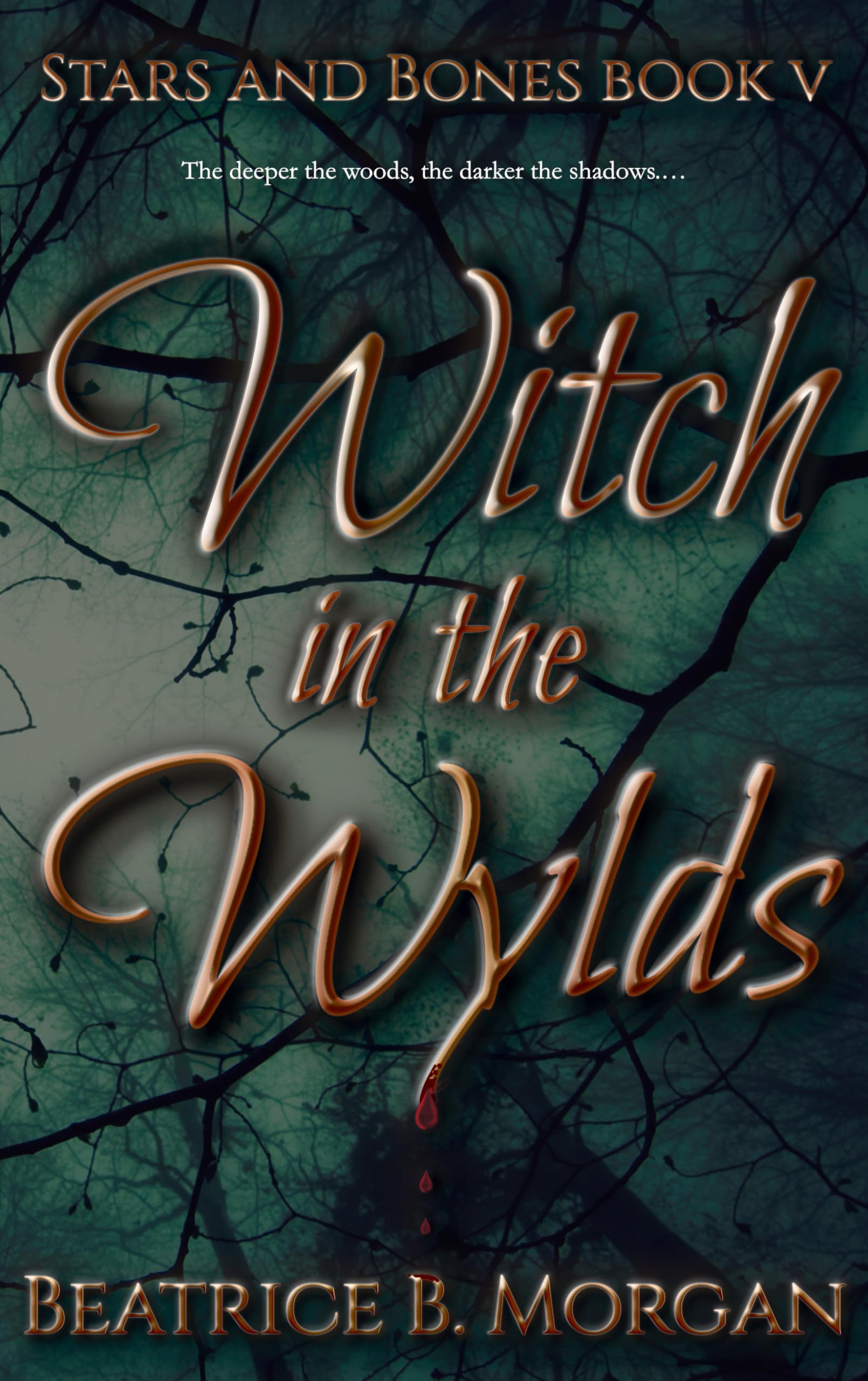 Witch in the Wylds: Stars and Bones