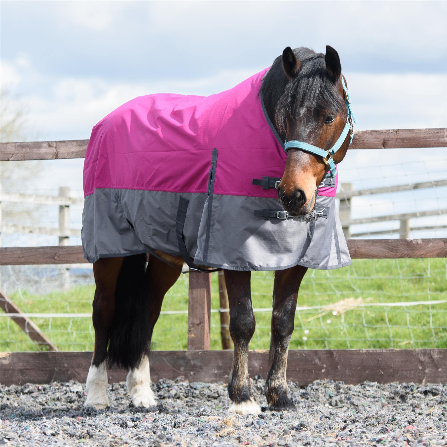 Outdoor Winterdecke Turnout 100% Wasserdicht 600D 100G Fulling - Raspberry/Grau 155cm
