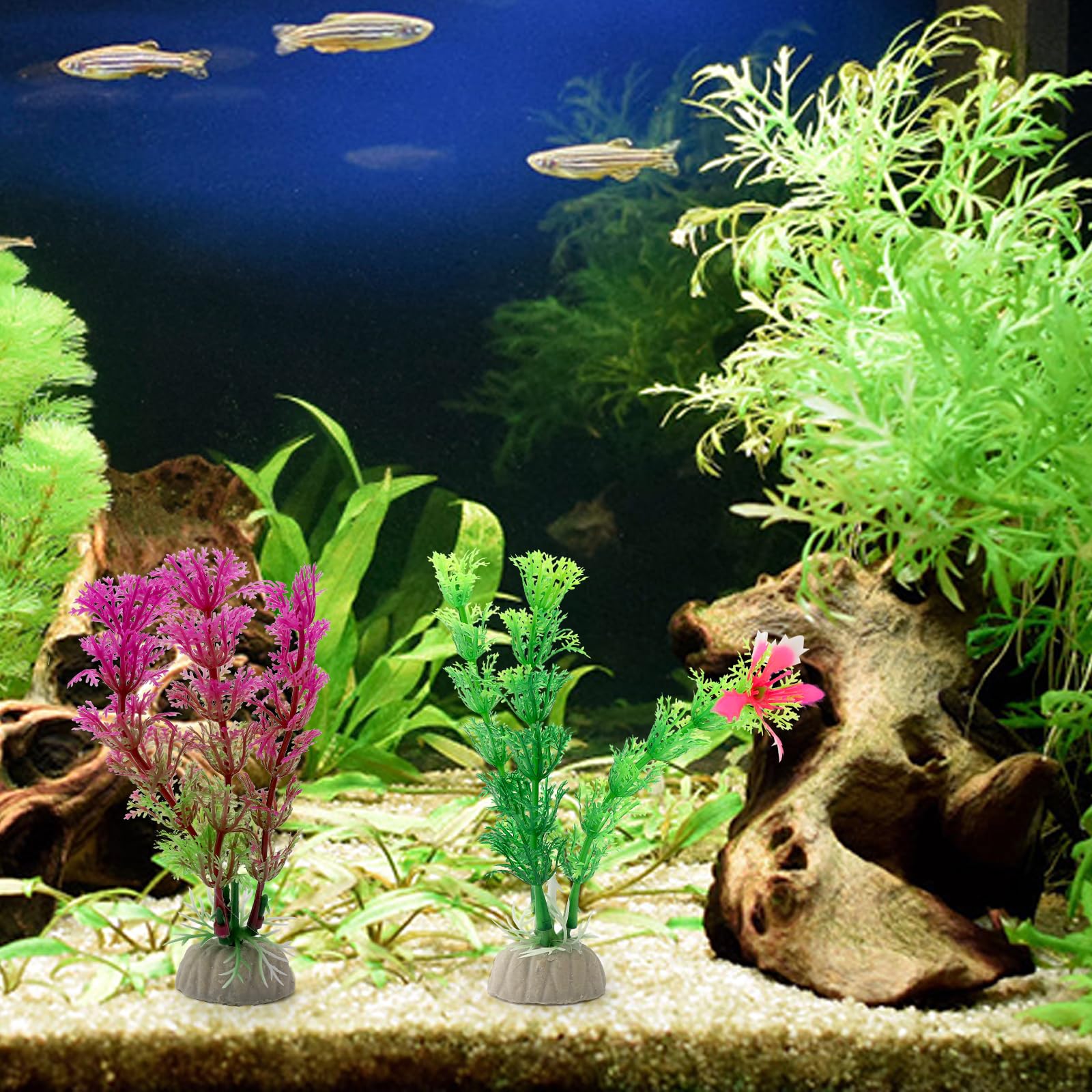6 pezzi piccoli legni naturali e piante acquatiche simulate per acquari, legni naturali e rami, legno per acquari, decorazione di rami per bacini rettili, terrario (10-15 cm)