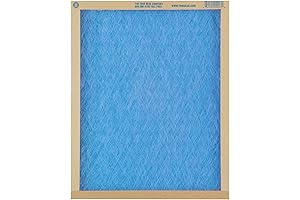 True Blue 25x25x1 Air Filter: Breathe Clean, Live Healthy