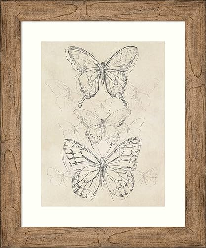 Amanti Art Lienzo decorativo para pared, diseño vintage de mariposa II de June Erica Vess, arte de pared de animales, decoración vintage, póster