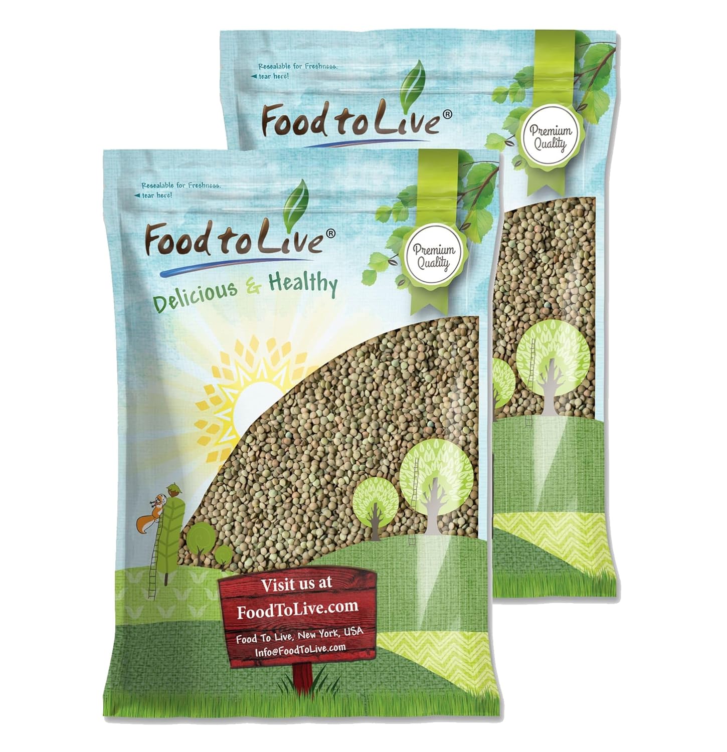 Food to Live - Whole Green Lentils, 20 Pound Dried Raw Lentils, Sproutable, Kosher, Vegan. Rich in Dietary Fiber, and Protein. No Soaking Required.