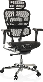 hjh OFFICE Chaise de Bureau Ergonomique ERGOHUMAN GEN2 Design Original, Utilisation 24h/24 Fauteuil de Bureau avec Soutien Lombaire Flexible, Filet Noir