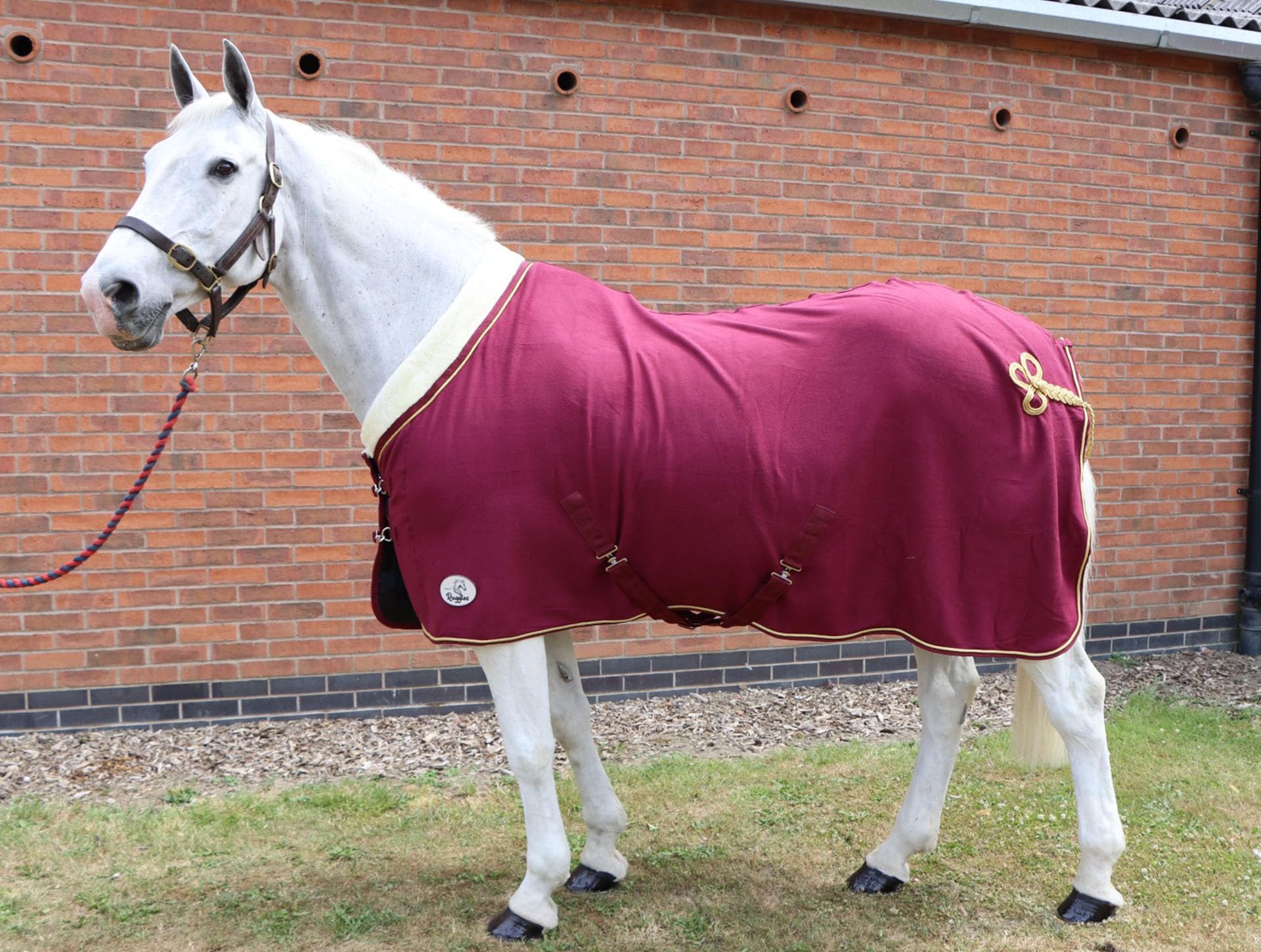 Ruggles Show Fleece Rug For Horse and Pony | Smart versatile Rug Ideal for Shows, Travel, Stable, after Exercise or Bathing (Burgundy, 5' 6")