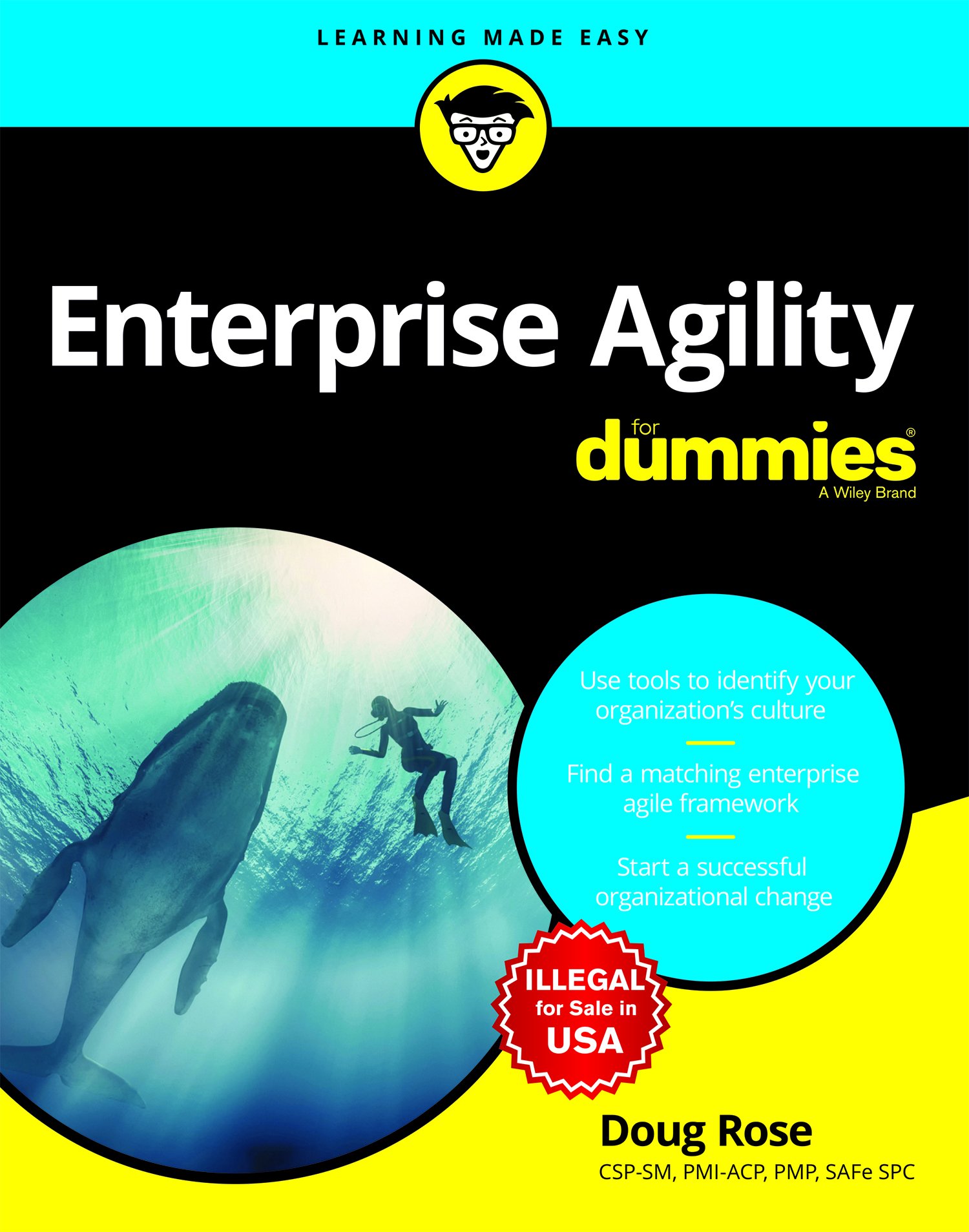 Enterprise Agility for Dummies