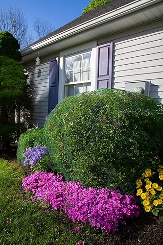 Miniatura 3 de Cubierta de red para plantas tamaño grande de 10 x 10 pies para arbustos de hasta 4 pies a 5 pies de alto, mide 10 pies x 10 pies. Repele a los