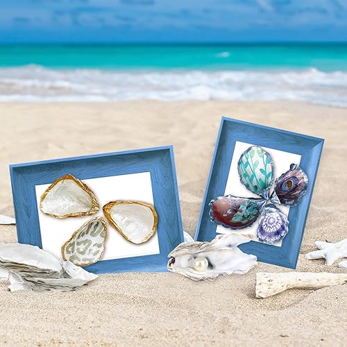 Miniatura 8 de YOUKE OLA 36 conchas de ostras grandes de 5 a 6 pulgadas, conchas de ostras a granel para decoración del hogar, relleno de jarrones, adornos,