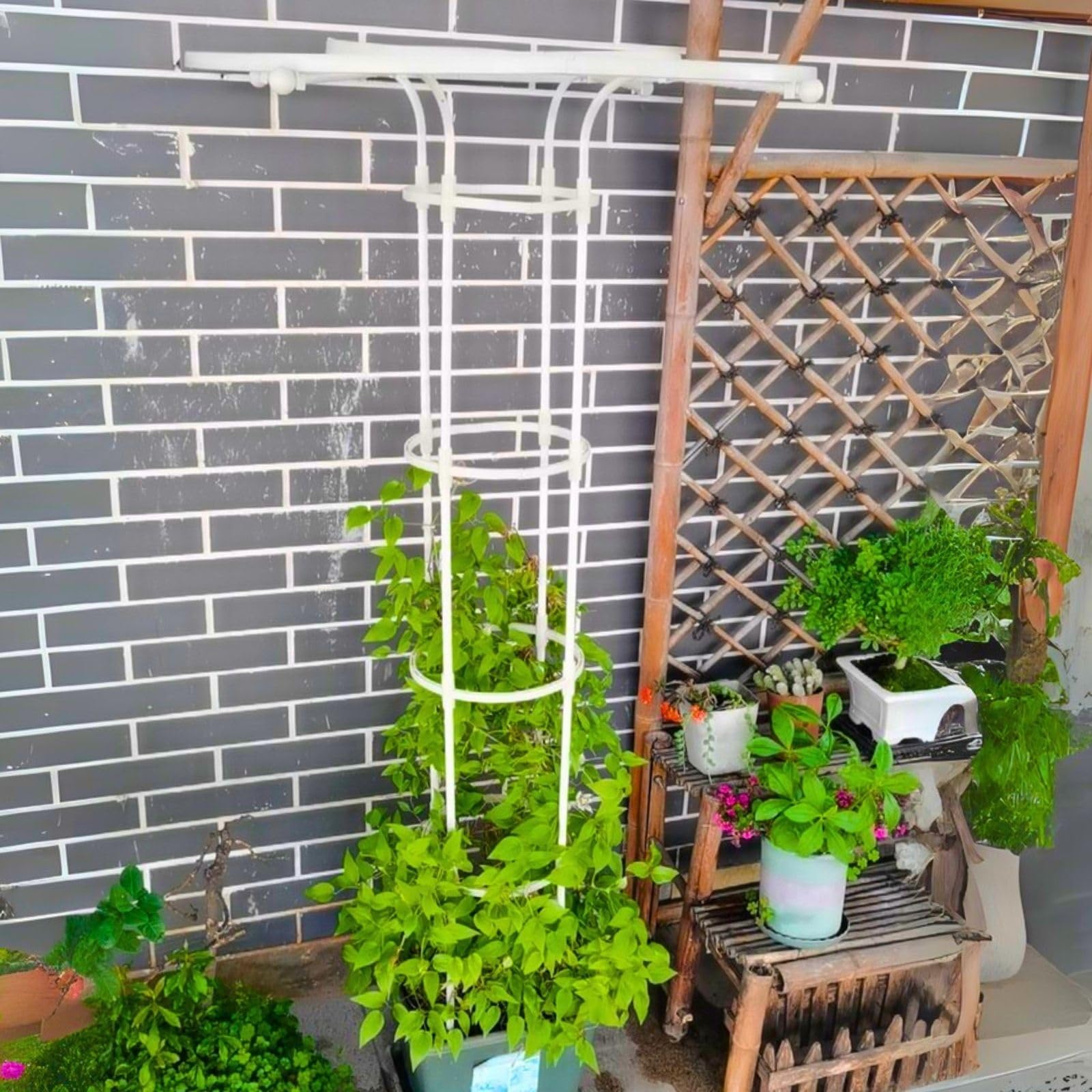 Enrejado de Jardín Obelisco, Soporte Plantas Trepadoras, Exterior Jardín Soporte Decorativo para Plantas, 90 120 150 180 210 CM Jaula para Plantas de Tomate, Escalada Vegtables Cage(White,HIGH: 180cm/