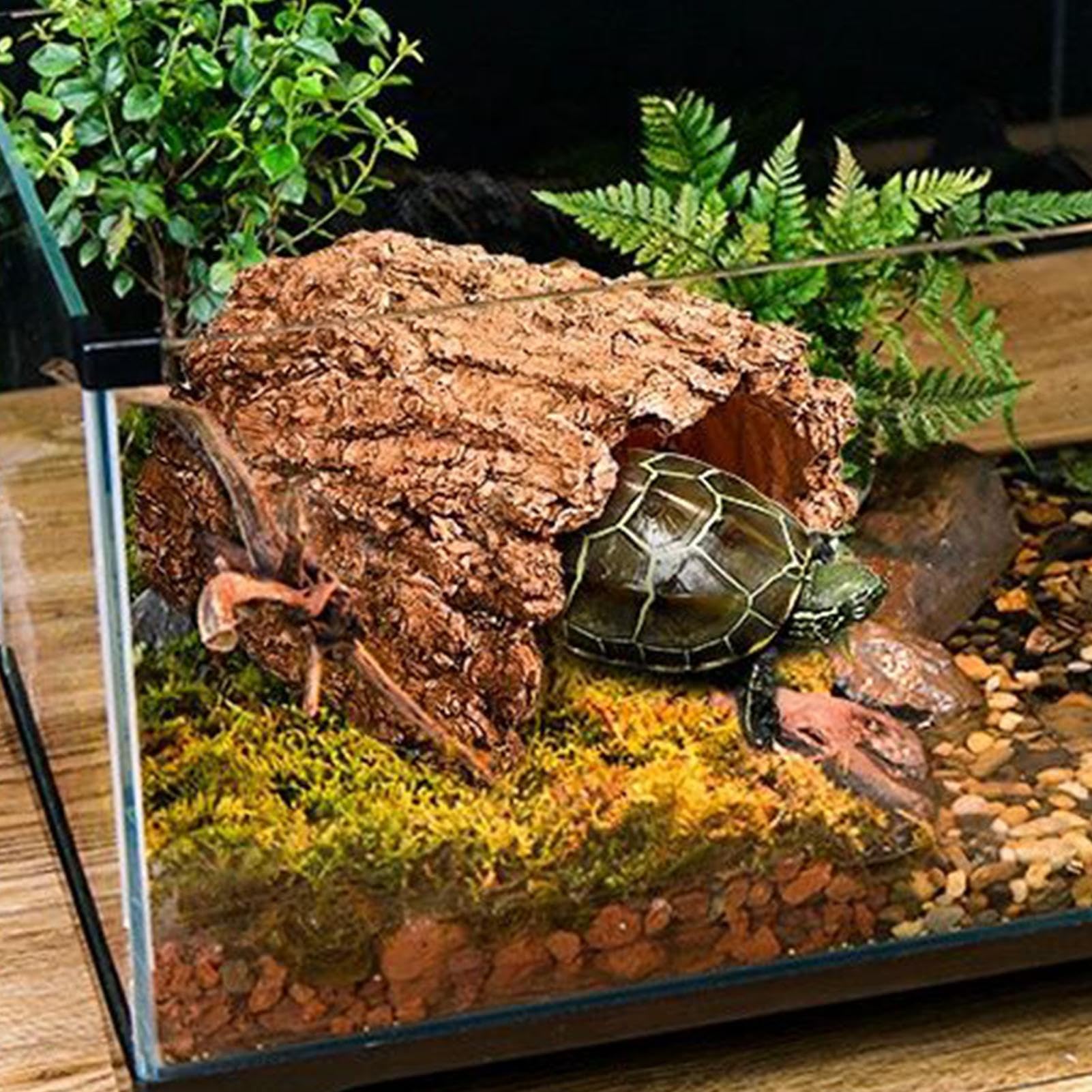 Casa Del Rospo Rifugio Caverna In Resina | Rifugio Per Tartarughe Per Acquario Vasca Drago Barbuto Tartaruga Leopardo Gechi Rettili Anfibi Serpente