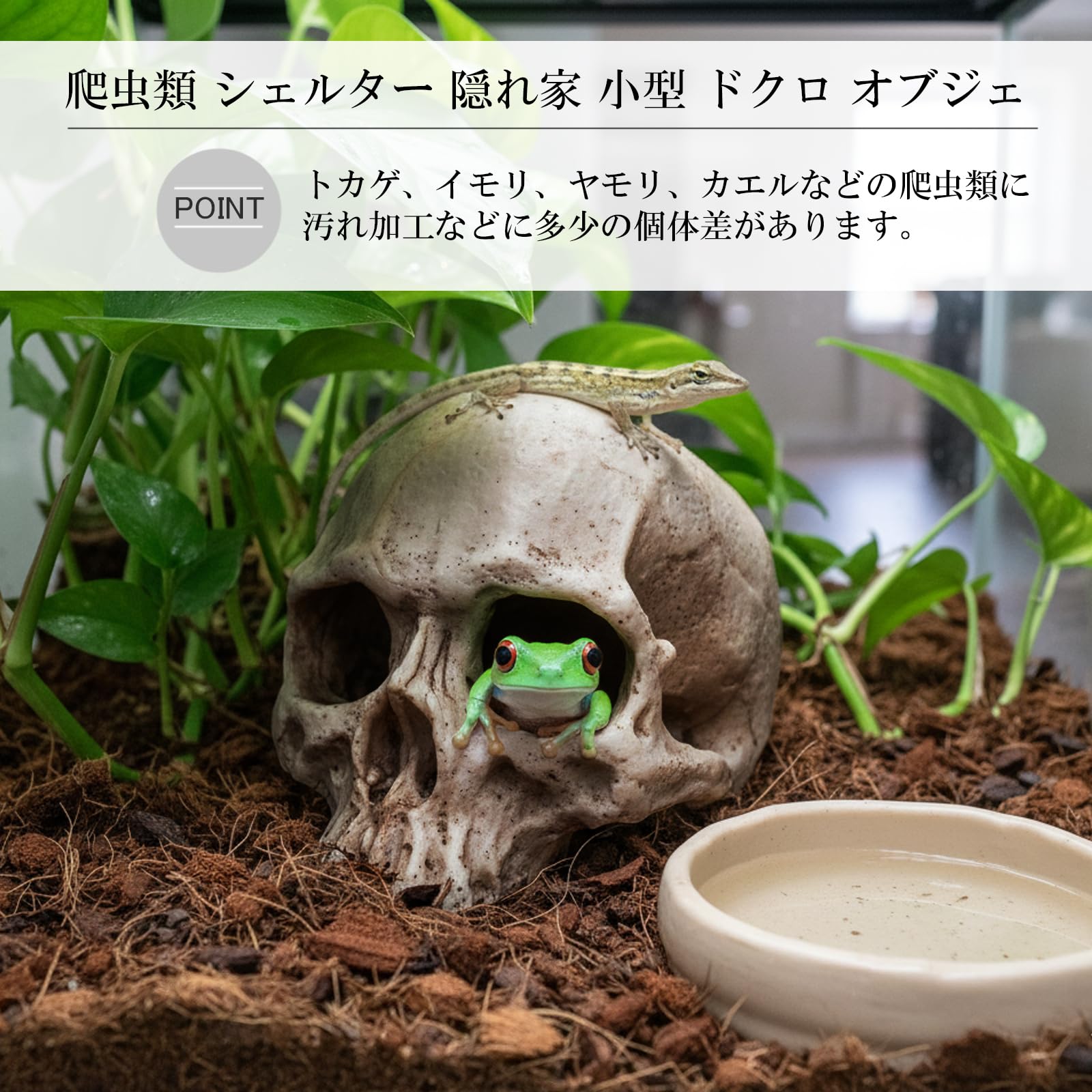 Amazon | Silver ＆ Style 爬虫類 シェルター 隠れ家 小 レオパ